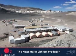 Mes AÑO - The Next Major Lithium Producer - TRES QUEBRADAS(3Q) LITHIUM PROJECT