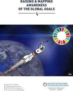RAISING & MAPPING AWARENESS OF THE GLOBAL GOALS - Report from Sulitest, Tangible implementation of the HESI & Contributor to the review of the ...