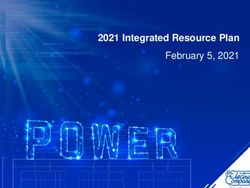 2021 Integrated Resource Plan - February 5, 2021 - El Paso ...