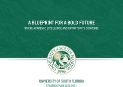 A BLUEPRINT FOR A BOLD FUTURE - WHERE ACADEMIC EXCELLENCE AND OPPORTUNITY CONVERGE - University of South ...
