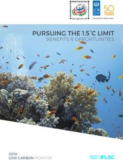 PURSUING THE 1.5 C LIMIT - BENEFITS & OPPORTUNITIES 2016 - UNDP