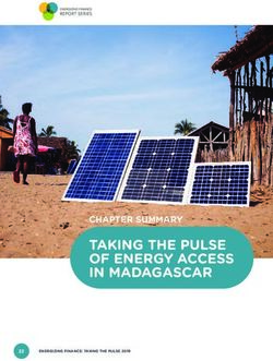 TAKING THE PULSE OF ENERGY ACCESS IN MADAGASCAR - CHAPTER SUMMARY - SEforALL