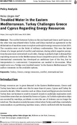 Troubled Water in the Eastern Mediterranean. Turkey Challenges Greece and Cyprus Regarding Energy Resources - De Gruyter