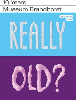 10 Years Museum Brandhorst