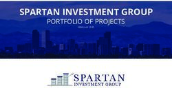 SPARTAN INVESTMENT GROUP - PORTFOLIO OF PROJECTS