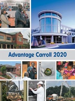 Advantage Carroll 2020 - Carroll Tomorrow