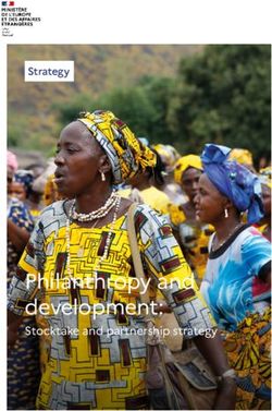 Philanthropy and development: Stocktake and partnership strategy - Strategy - France Diplomatie