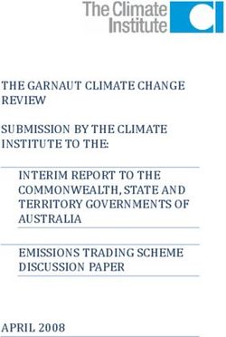 THE GARNAUT CLIMATE CHANGE REVIEW SUBMISSION BY THE CLIMATE INSTITUTE TO THE: INTERIM REPORT TO THE COMMONWEALTH, STATE AND TERRITORY GOVERNMENTS ...