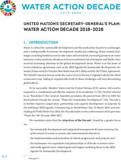 WATER ACTION DECADE 2018-2028 - UNITED NATIONS SECRETARY-GENERAL'S PLAN