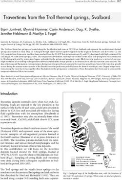 Travertines from the Troll thermal springs, Svalbard