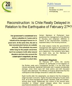 Reconstruction: Is Chile Really Delayed in Relation to the Earthquake of February 27th?