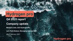 Hydrogen Pro Q4 2020 Report Company Update Mårten Lunde, CEO ...