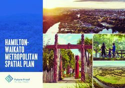 HAMILTON-WAIKATO METROPOLITAN SPATIAL PLAN - Future Proof