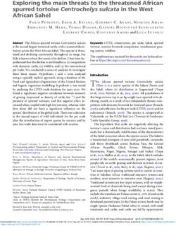 Exploring the main threats to the threatened African spurred tortoise Centrochelys sulcata in the West African Sahel - Exploring the main threats ...