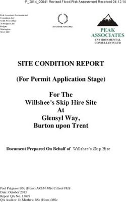 SITE CONDITION REPORT - (For Permit Application Stage) For The Willshee's Skip Hire Site At Glensyl Way, Burton upon Trent