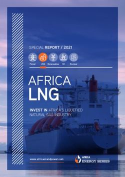 LNG AFRICA SPECIAL REPORT / 2021
