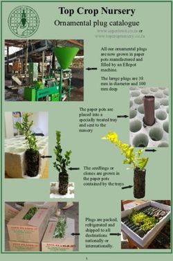 Top Crop Nursery Ornamental plug catalogue www.superlawn.co.za or www.topcropnursery.co.za