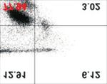 Afatinib Mediates Autophagic Degradation of ORAI1, STIM1, and SERCA2, Which Inhibits Proliferation of Non-Small Cell Lung Cancer Cells