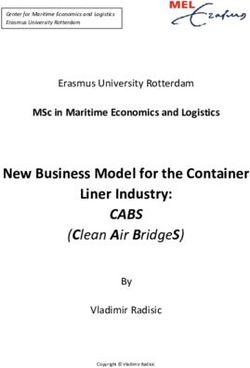 CABS New Business Model for the Container Liner Industry