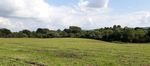 Land at Mare Hill Road - Pulborough, West Sussex, RH20 2DY - Batcheller Monkhouse