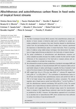 Allochthonous and autochthonous carbon flows in food webs of tropical forest streams