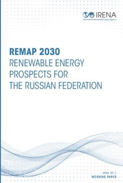 REMAP 2030 RENEWABLE ENERGY PROSPECTS FOR THE RUSSIAN FEDERATION - WORKING PAPER - Irena
