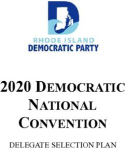 2020 DEMOCRATIC NATIONAL CONVENTION - DELEGATE SELECTION PLAN - vote.ri.gov