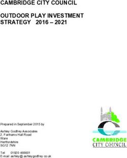 CAMBRIDGE CITY COUNCIL OUTDOOR PLAY INVESTMENT STRATEGY 2016 2021 - Prepared in September 2015 by Ashley Godfrey Associates 2, Fanhams Hall Road ...