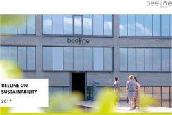 Beeline On Sustainability 17 Beeline Group