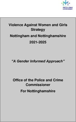 Violence Against Women and Girls Strategy Nottingham and Nottinghamshire 2021-2025 - "A Gender Informed Approach" - Nottinghamshire Police and ...