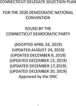 CONNECTICUT DELEGATE SELECTION PLAN FOR THE 2020 DEMOCRATIC NATIONAL CONVENTION ISSUED BY