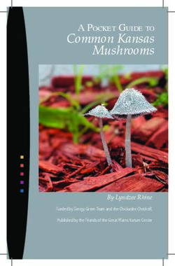 Mushrooms A POCKET GUIDE TO - Great Plains Nature Center
