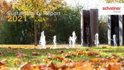 Sustainability Report - Schreiner Group