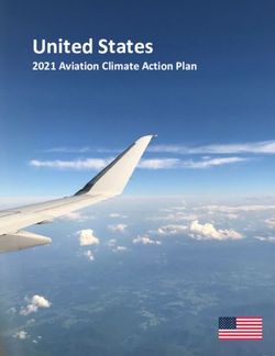 United States 2021 Aviation Climate Action Plan