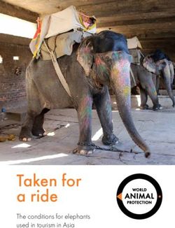 Taken for a ride The conditions for elephants used in tourism in Asia - World Animal Protection