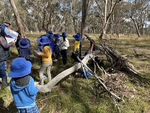 The Blue and White Armidale City Public School