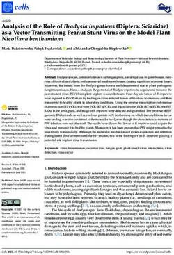 Analysis of the Role of Bradysia impatiens (Diptera: Sciaridae) as a Vector Transmitting Peanut Stunt Virus on the Model Plant Nicotiana ...