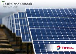 Results and Outlook February 2021 - Total.com