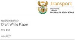 Draft White Paper - South African ...