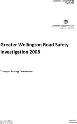 Greater Wellington Road Safety Investigation 2008 - Transport Strategy Development