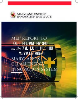 The State of Maryland on the Present Status and Future Potential of - MEI2 REPORT TO