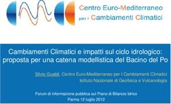 Cambiamenti Climatici e impatti sul ciclo idrologico: proposta per una catena modellistica del Bacino del Po - Autorità ...