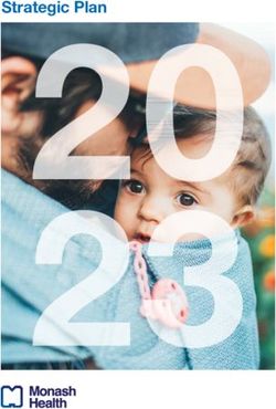 Strategic Plan - Monash Health