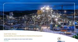 CEO Sustainability Review - Gold Fields Ghana: CORPORATE 18 March 2020
