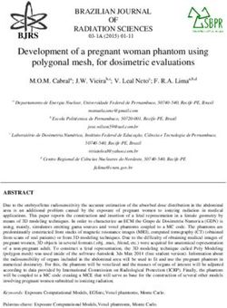 Development of a pregnant woman phantom using polygonal mesh, for dosimetric evaluations