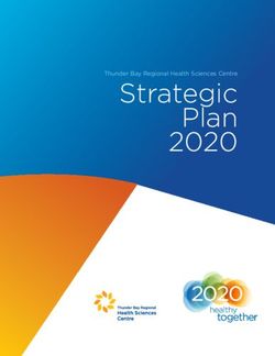 Strategic Plan 2020 Thunder Bay Regional Health Sciences Centre - Thunder Bay Regional Health Sciences ...