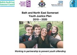 Bath and North East Somerset Youth Justice Plan 2019 2020 - Working in partnership to prevent youth offending