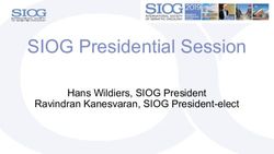 SIOG Presidential Session - Hans Wildiers, SIOG President Ravindran Kanesvaran, SIOG President-elect