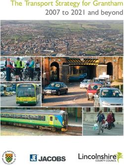 The Transport Strategy for Grantham 2007 to 2021 and beyond - Lincolnshire ...