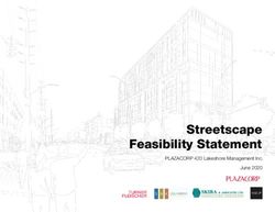 Streetscape Feasibility Statement - PLAZACORP 420 Lakeshore Management Inc. June 2020 - City of Mississauga
